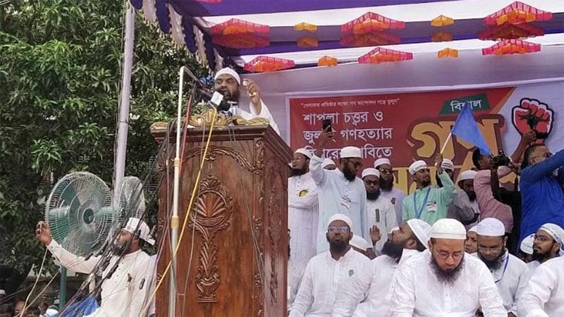 ‌আ.লীগ রাতে কালনাগিনী, দিনের বেলায় ওঝা: মামুনুল হক