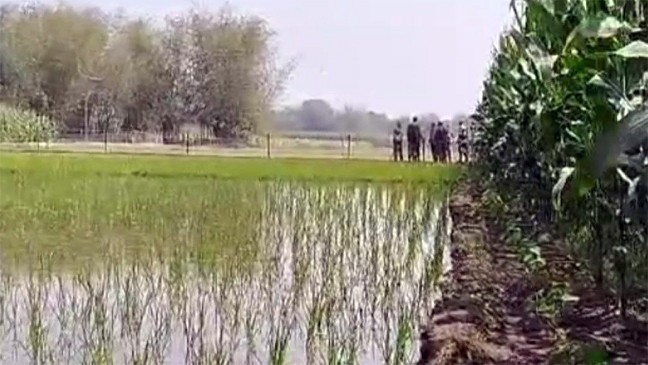 আবারও সীমান্তে কাঁটাতার নির্মাণ চেষ্টা, বন্ধ করল বিজিবি