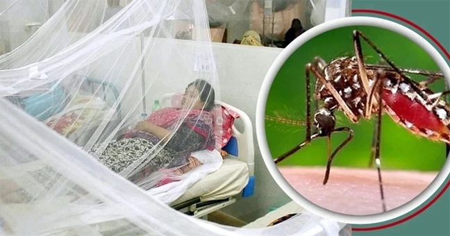 ঢাকা বিভাগে ডেঙ্গুর হঠাৎ উর্ধ্বগতি: ২৪ ঘণ্টায় আক্রান্ত বেড়ে ২১ জন