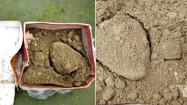 কন্যাসন্তান জন্ম নেওয়ায় মিষ্টির কার্টনে ইট-মাটির গুঁড়া পাঠালেন মোকছেদুল