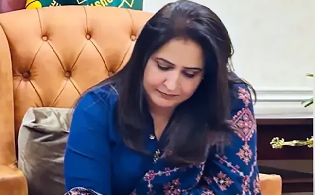 ভারতীয় গোয়েন্দাদের ফোকাসে এবার 'ম্যাডাম এন'