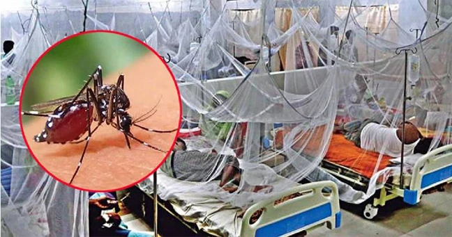 ২৪ ঘণ্টায় ডেঙ্গুতে দুই শিশুসহ ৪ জনের মৃত্যু, হাসপাতালে ভর্তি ৩১৯
