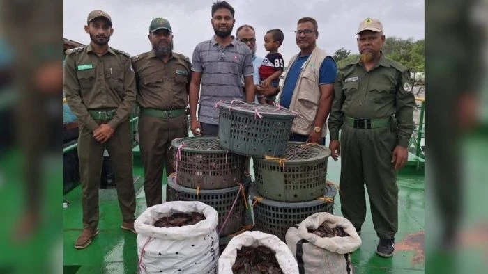 সুন্দরবনে নিষিদ্ধ সময়ে কাঁকড়া ধরার অপরাধে ৭টি নৌকা জব্দ, উদ্ধার ২১০ কেজি কাঁকড়া