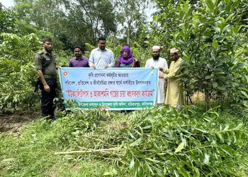 পরিবেশ বিধ্বংসী ইউক্যালিপটাস গাছের চারা ধ্বংস করলেন ইউএনও