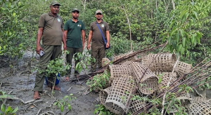 সুন্দরবনে অভিযান দুবলার চরে ১৭৬টি অবৈধ কাঁকড়া ধরার ফাঁদ জব্দ ও ধ্বংস