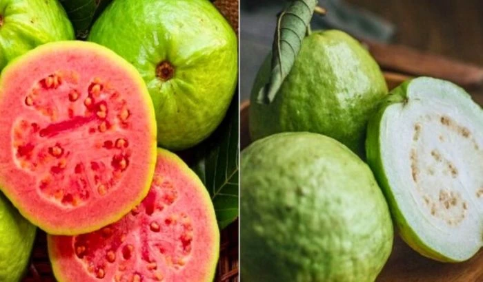 ডায়াবেটিক রোগীদের জন্য উপকারী ফল পেয়ারা: সাদা নাকি গোলাপি, কোনটি বেশি ভালো