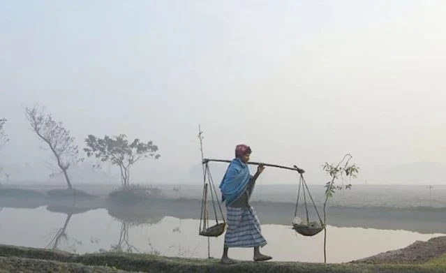 পঞ্চগড়ে শুরু শীতের আমেজ, তেঁতুলিয়ায় দেশের সর্বনিম্ন তাপমাত্রা