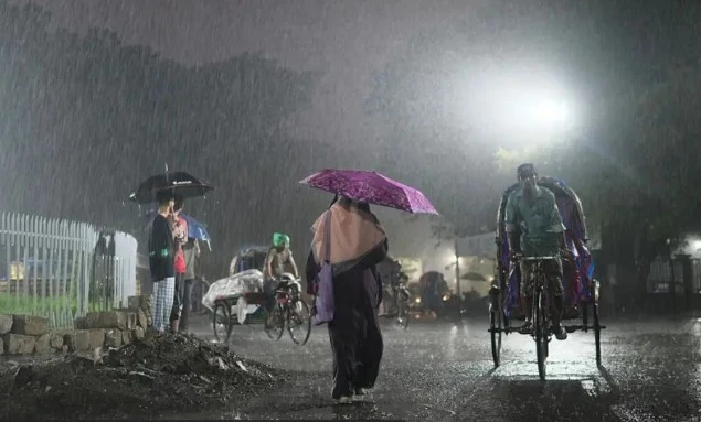 টানা বৃষ্টির সতর্কবার্তা: নভেম্বরের এই 'ভারি বর্ষণ' শীতকালীন ফসলসহ কৃষিতে কতটা নেতিবাচক প্রভাব ফেলবে?