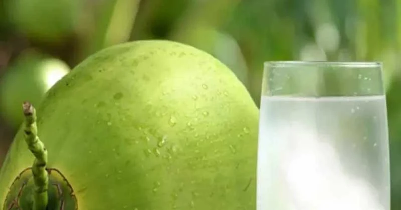 যে কারণে ডাবের পানি খাইয়ে কেন অনশন ভাঙানো হয়!