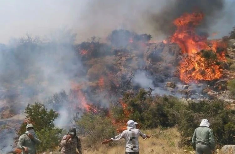 ইরানে ভয়াবহ দাবানল: ইউনেস্কো ঘোষিত হিরকানিয়ান অরণ্য পুড়ছে সাত দিন ধরে