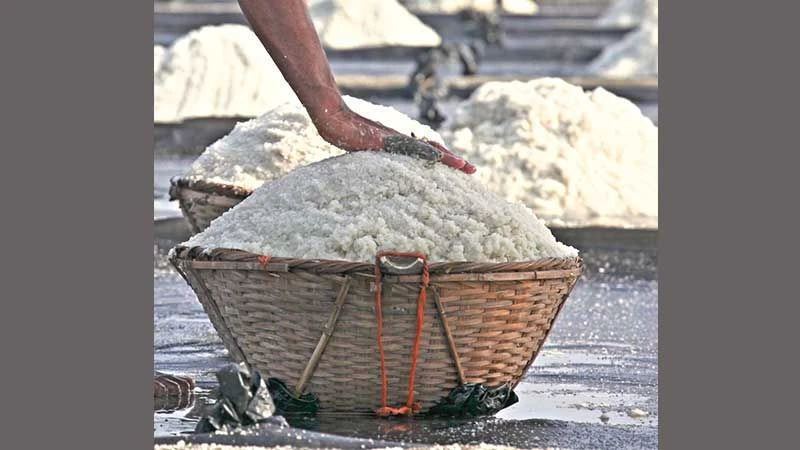 লবণ উৎপাদনে ধস: আমদানি অনুমতিতে দামপতন, বিপাকে চাষী–মিল মালিক