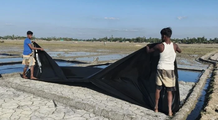 কুতুবদিয়ার লবণ চাষীরা উদ্বিগ্ন 