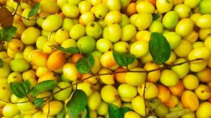 লিভার ও কিডনি বিষমুক্ত করতে জাদুর মতো কাজ করে কুল