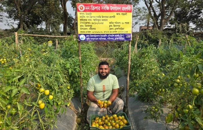 ধান ছেড়ে সবজি চাষে বদলে গেছে অনিকের জীবন 