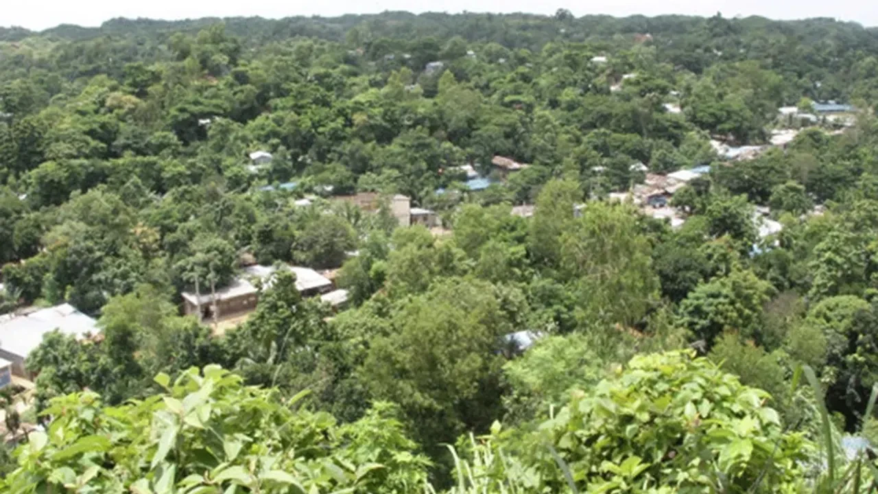 জঙ্গল সলিমপুর: চার দশকের দখল, সন্ত্রাস ও রক্তে গড়া ৩০ হাজার কোটি টাকার ‘নিষিদ্ধ ভূখণ্ড’