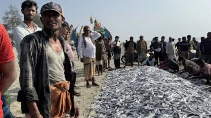 টেকনাফে জেলেদের জালে ধরা পড়ল ৯ লাখ টাকার মাছ