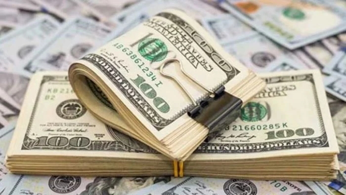 ১৯ দিনে রেমিট্যান্স এল ২৫ হাজার ৯০০ কোটি টাকা