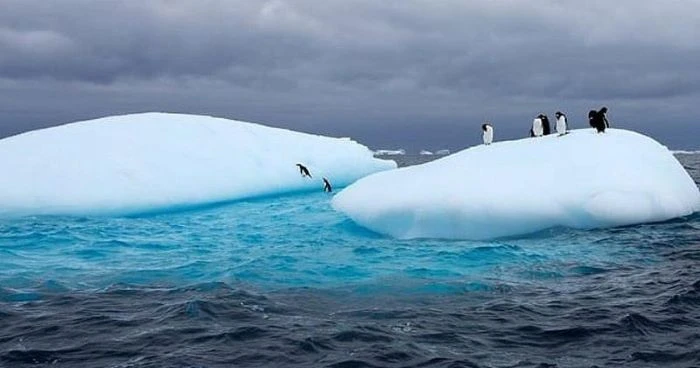 অ্যান্টার্কটিকার বরফের নীচে মিলল সাড়ে তিন কোটি বছরের পুরোনো পৃথিবীর চিহ্ন
