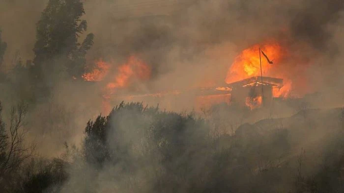 চিলিতে ভয়াবহ দাবানল: দুই অঞ্চলে ‘মহাবিপর্যয়’ ঘোষণা, ১৬ জনের মৃত্যু