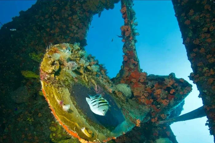 ১৫০ বছর পর  মিলল লেক মিশিগানে ডুবে যাওয়া জাহাজের সন্ধান