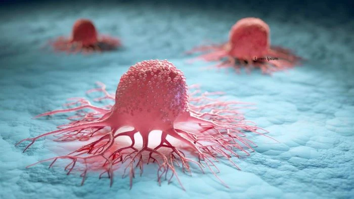 ক্যানসারের ঝুঁকি কমাতে ও রোগপ্রতিরোধ ক্ষমতা বাড়াতে ৫টি কার্যকর আয়ুর্বেদিক ভেষজ