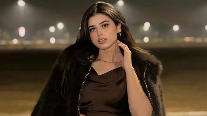 এবার ইউটিউবার আলিনা আমিরের ব্যক্তিগত ভিডিও ফাঁস, অপরাধীদের ছাড় না দেওয়ার হুঁশিয়ারি