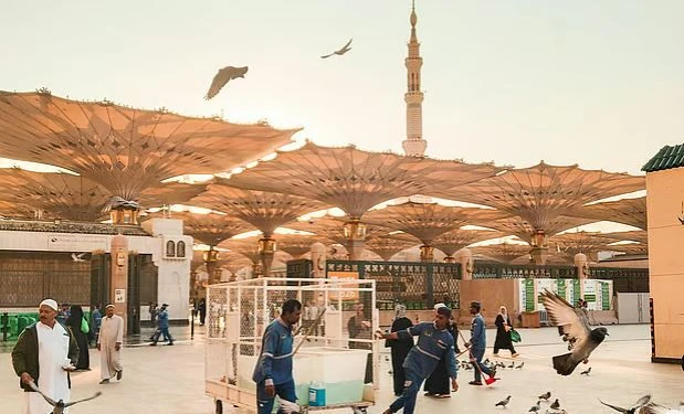 রমজানে মদিনার মসজিদে নববিতে স্বেচ্ছাসেবক নিয়োগ শুরু; আবেদন চলছে অনলাইনে