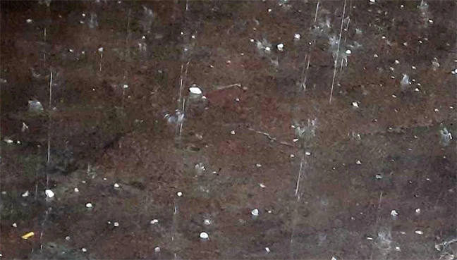 মিরপুরে শিলাবৃষ্টি, বাংলাদেশ-পাকিস্তান ম্যাচ বন্ধ