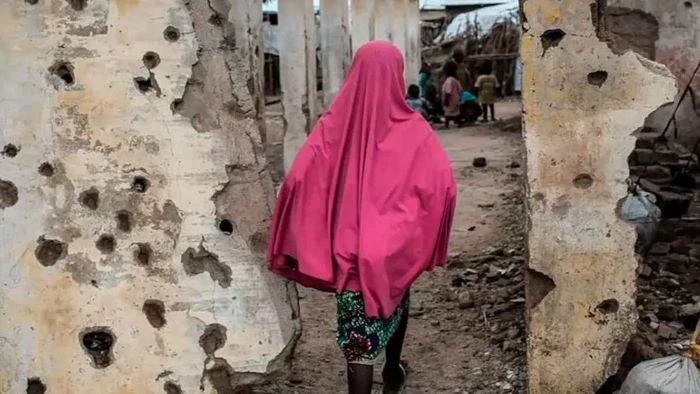 নাইজেরিয়ায় ঘুমন্ত গ্রামবাসীর ওপর জঙ্গি হামলা, নিহত ২৯