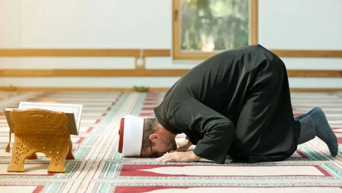 কুরআনের সিজদার আয়াত পড়লে কেন সঙ্গে সঙ্গে সিজদা দেওয়া হয়?