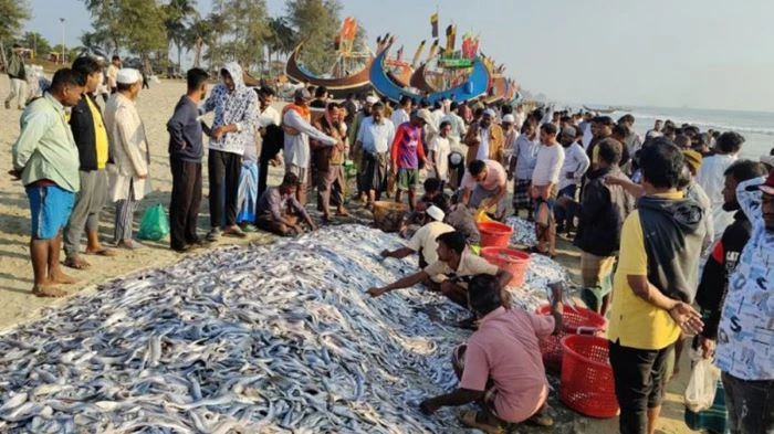নদী-সাগরে জেলেরা কত প্রজাতির মাছ ধরেন?