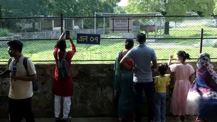 ঈদের ছুটিতে ঢাকায় কোথায় ঘুরবেন, জেনে নিন