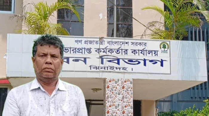 বন বিভাগের টিপি পাশের নামে চলছে রমরমা চাঁদাবাজি