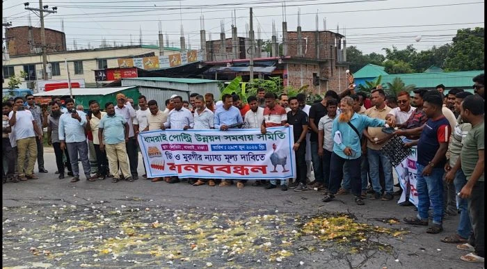 ঢাকা-আরিচা মহাসড়কে ডিম ভেঙে খামারিদের প্রতিবাদ, ন্যায্য মূল্যের দাবি