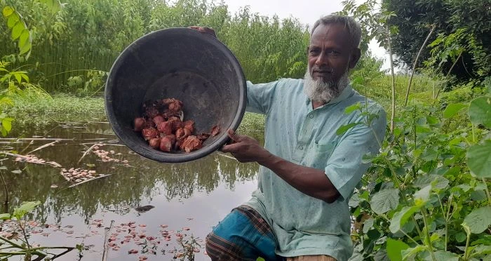 ফরিদপুরের সালথায় পেঁয়াজের ন্যায্যমূল্য না পেয়ে ক্ষোভে পানিতে ফেলে দিচ্ছেন কৃষক