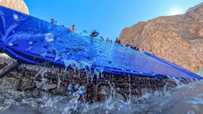 বিরল মাছ সংরক্ষণ ও পুনরুদ্ধারে চীনের যত প্রচেষ্টা