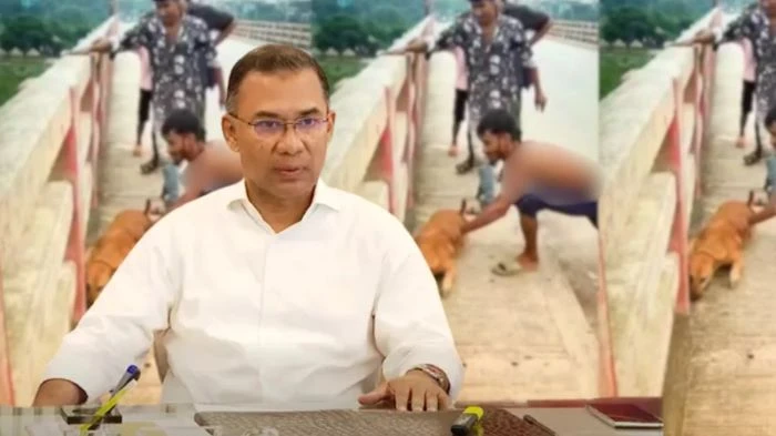 গলায় ইট বেঁধে কুকুর নদীতে নিক্ষেপ: প্রধানমন্ত্রীর নির্দেশের পর অভিযুক্ত গ্রেপ্তার