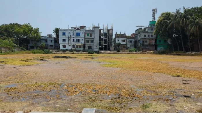 নিরবে পুকুর হত্যা করছে সরকারি টিচার্স ট্রেনিং কলেজ কর্তৃপক্ষ, দুর্ভোগে শিক্ষার্থী ও এলাকাবাসী
