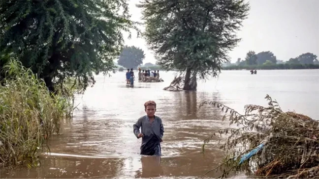 জলবায়ু দুর্যোগে বাড়ছে শিশুদের ঝুঁকি, সতর্ক করল ইউনিসেফ