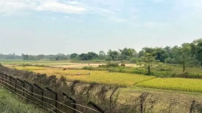 কুলাউড়া সীমান্তে বিএসএফের গুলি, প্রাণ গেল বাংলাদেশির