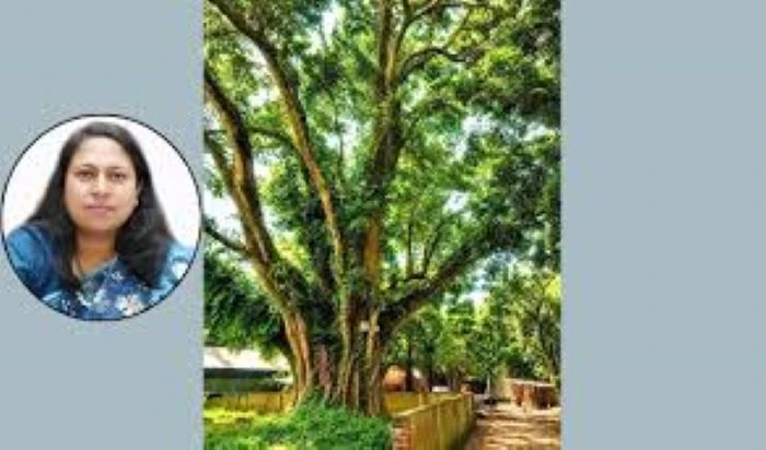 শেরপুরে জেলা প্রশাসকের হস্তক্ষেপে রক্ষা পেল শতবর্ষী বটগাছ টি