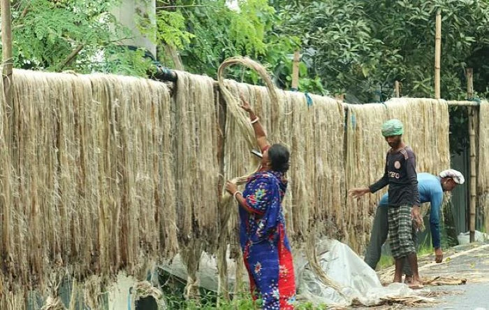 চার বছর পর ঘুরে দাঁড়াল পাট রপ্তানি, তিন বছরের মধ্যে সর্বোচ্চ আয়