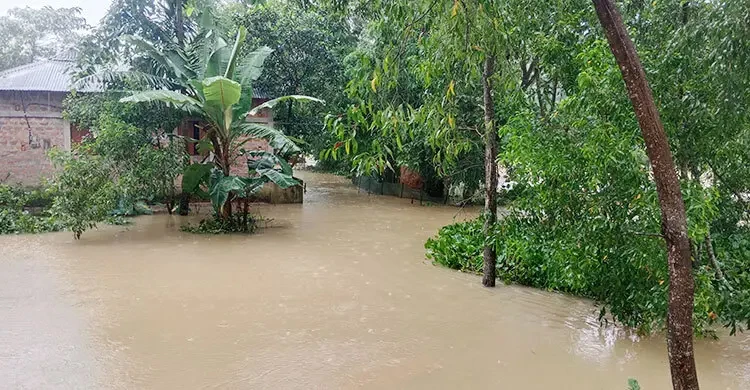 বন্যার ভয়াবহতা: ৫১ প্রাণহানি, পানিবন্দি আড়াই লাখের বেশি পরিবার