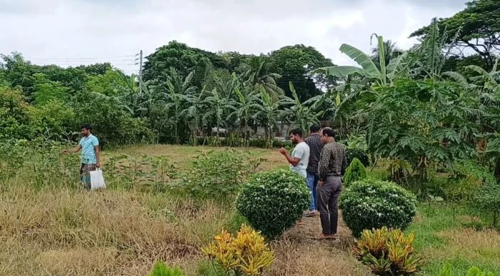 কালীগঞ্জ হাসপাতালে হাজিরা দিয়েই মাঠে চিকিৎসক, ওষুধ কোম্পানির প্রতিনিধিদের দিয়ে করাচ্ছেন কৃষিকাজ!