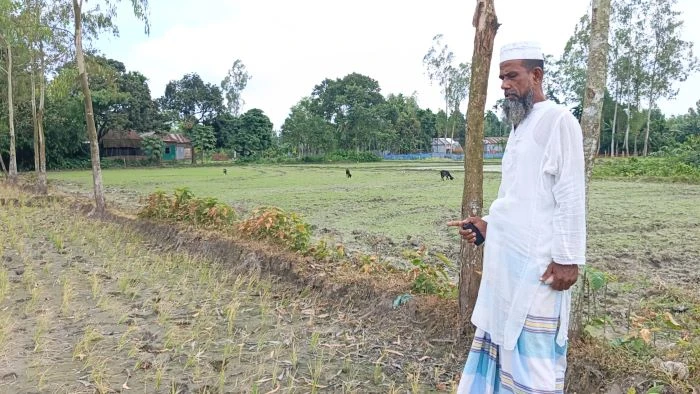 ‎আদিতমারীতে চারবিঘা জমিতে বিষ ও লবণ প্রয়োগে আমন ক্ষেত পুড়িয়ে দেওয়ার অভিযোগ, থানায় মামলা