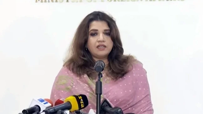 রাষ্ট্রপতির সঙ্গে শেখ হাসিনার ফোনালাপ, যা বললেন পররাষ্ট্র প্রতিমন্ত্রী (ভিডিও)