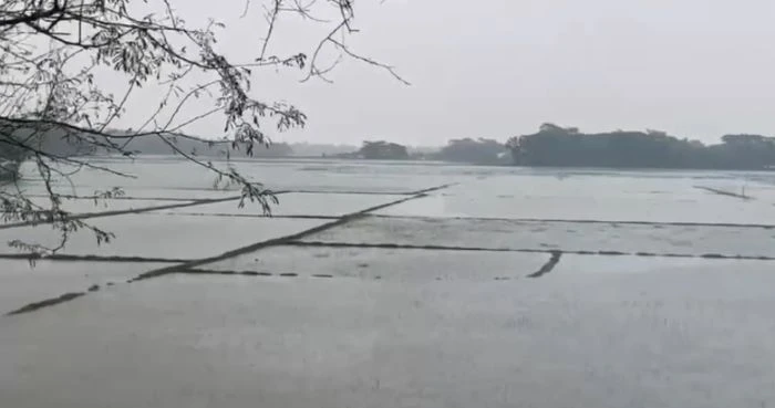 পটুয়াখালী উপকুল জুড়ে টানা বৃষ্টিতে জলাবদ্ধতা,তলিয়ে গেছে মাছের ঘের,কর্মহীন হাজার হাজার জেলে