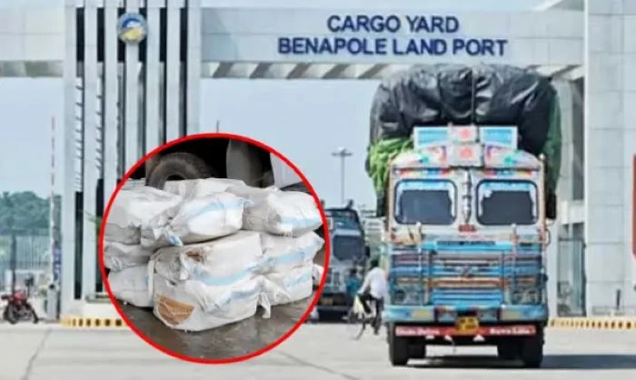 সাদা মাছের আড়ালে ভারতীয় ইলিশ, বেনাপোলে আটক চালান