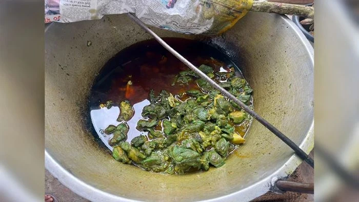 রান্নায় সবুজ হয়ে যাওয়া সেই মাংসের নমুনা ল্যাবে পাঠানো হলো