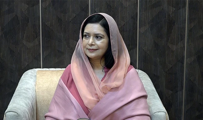 প্রান্তিক জনগণের জন্য ক্রিটিক্যাল কেয়ার নিশ্চিতের আহ্বান জুবাইদা রহমানের